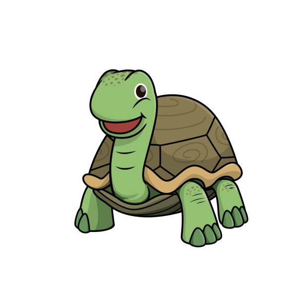 a friendly looking illustrated tortoise. His name is terence.